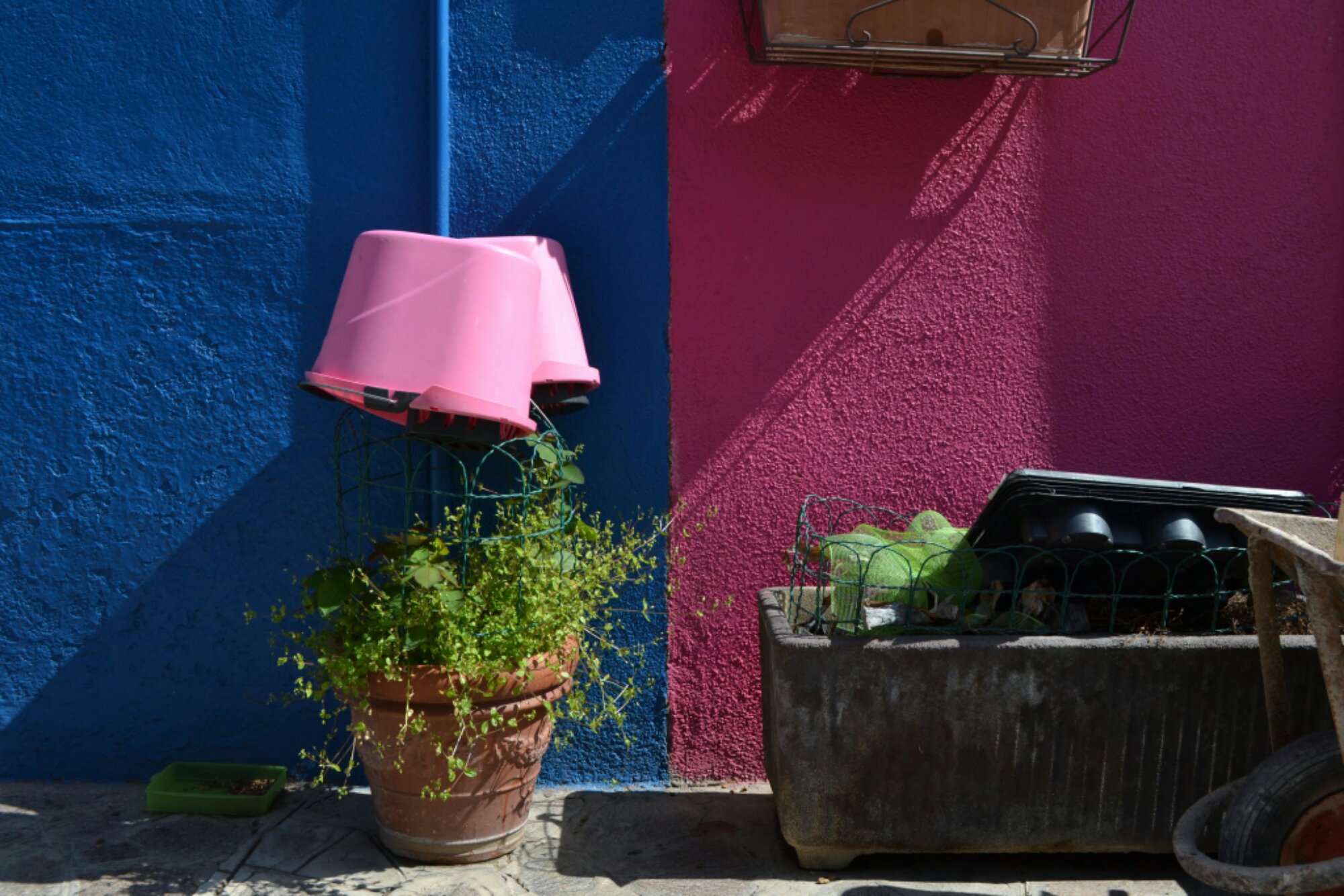 The Burano Colour Game