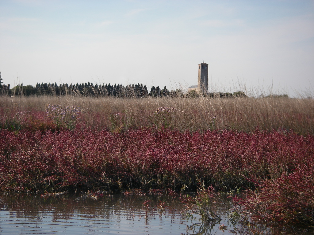 Torcello seen from the lagoon