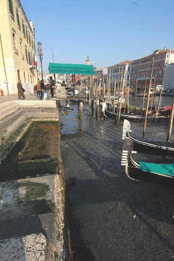 Venice low tide