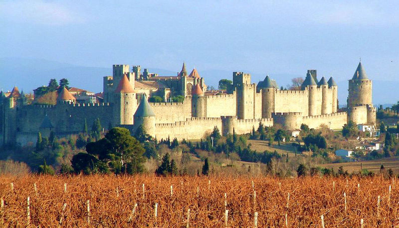 carcassonne-vignes