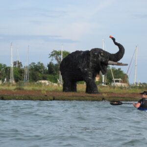 Paddling with the elephant