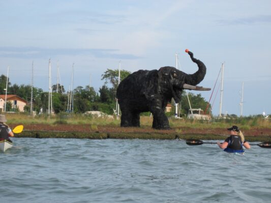 Paddling with the elephant