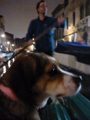 Voga - Rowing with Stella in the dark canals