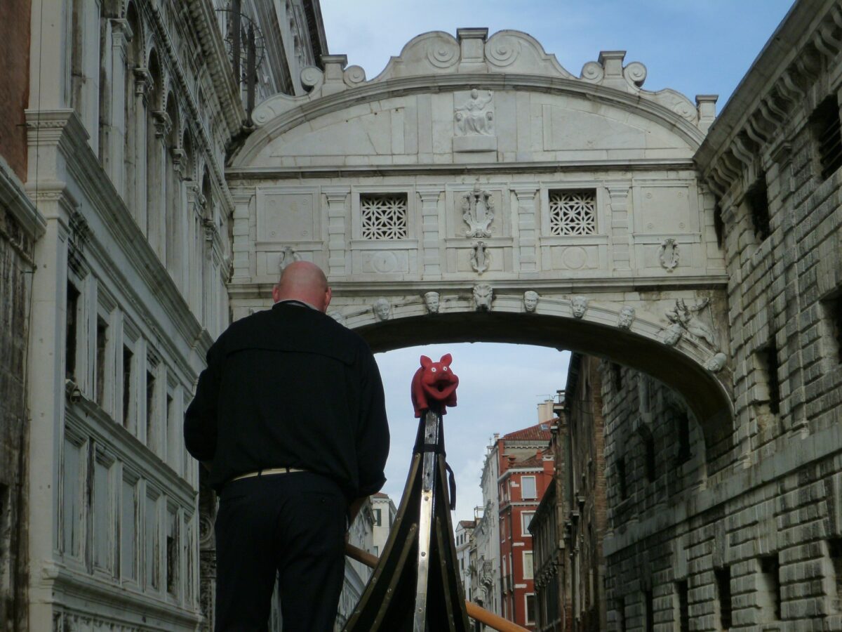 Porcelino sulla gondola