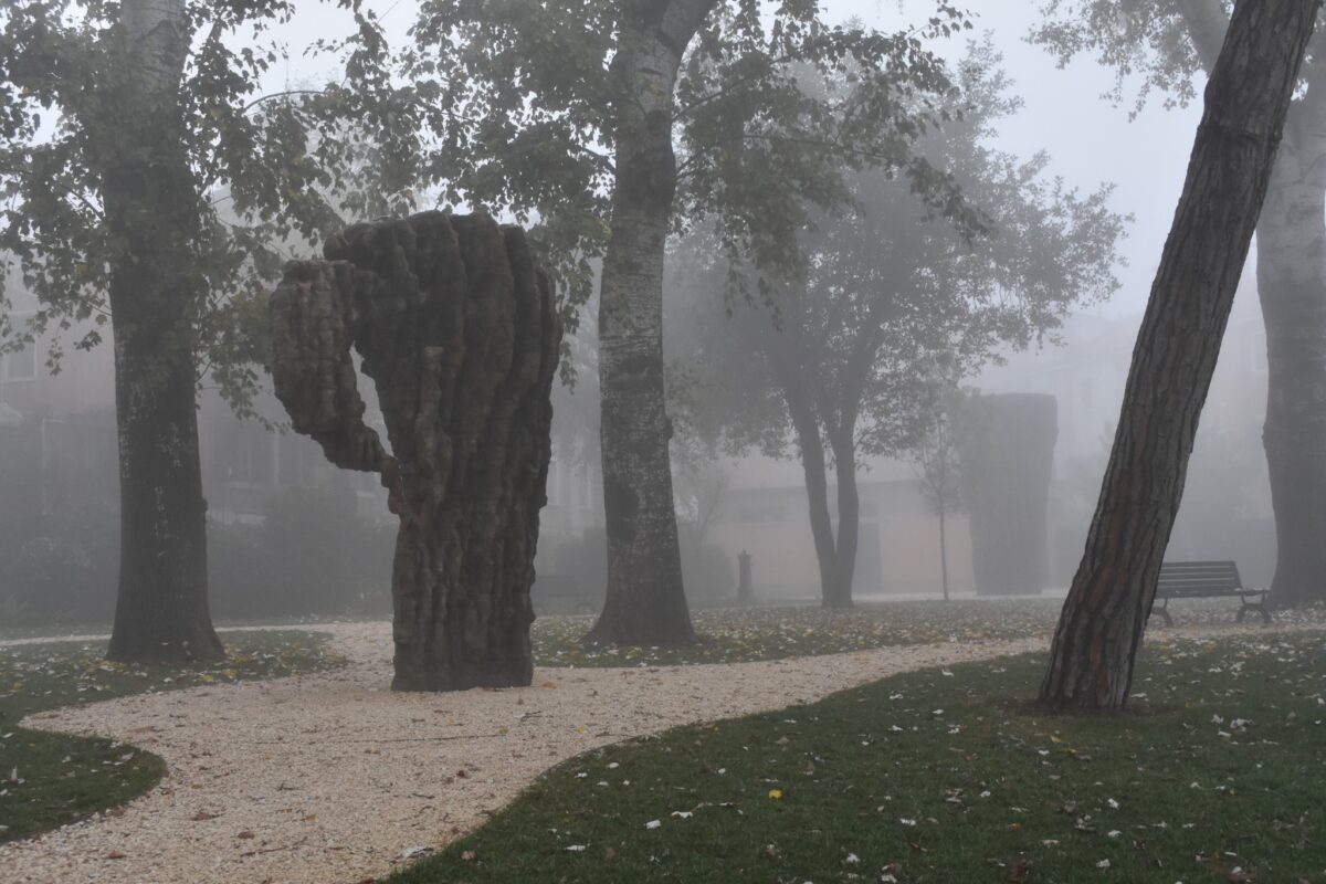 Foggy days in Venice