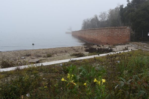 Misty day on the Certosa island