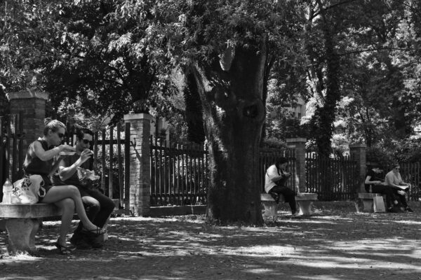 Fifteen minutes in a Venetian park