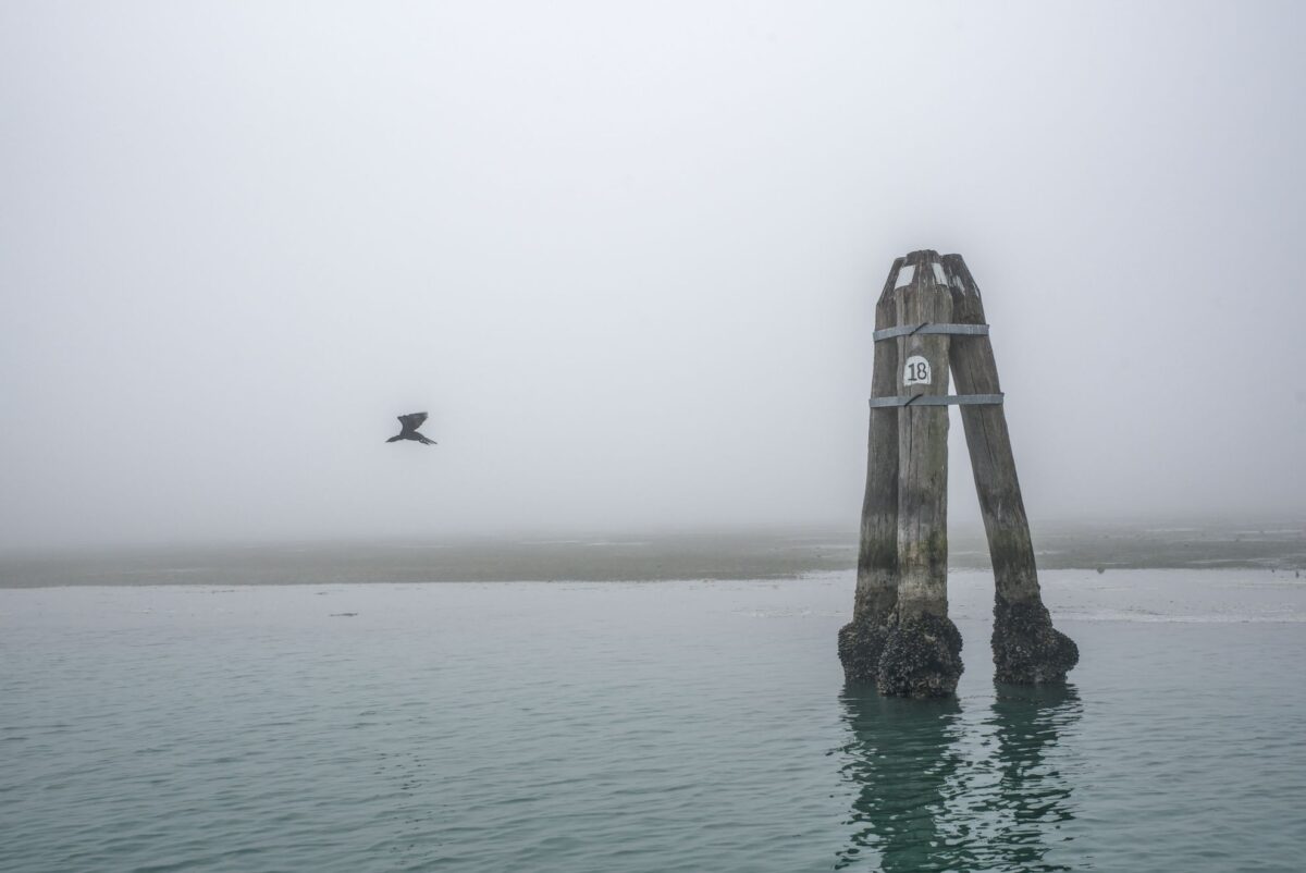 The Venetian lagoon on the fog - briccola and cormorant in flight